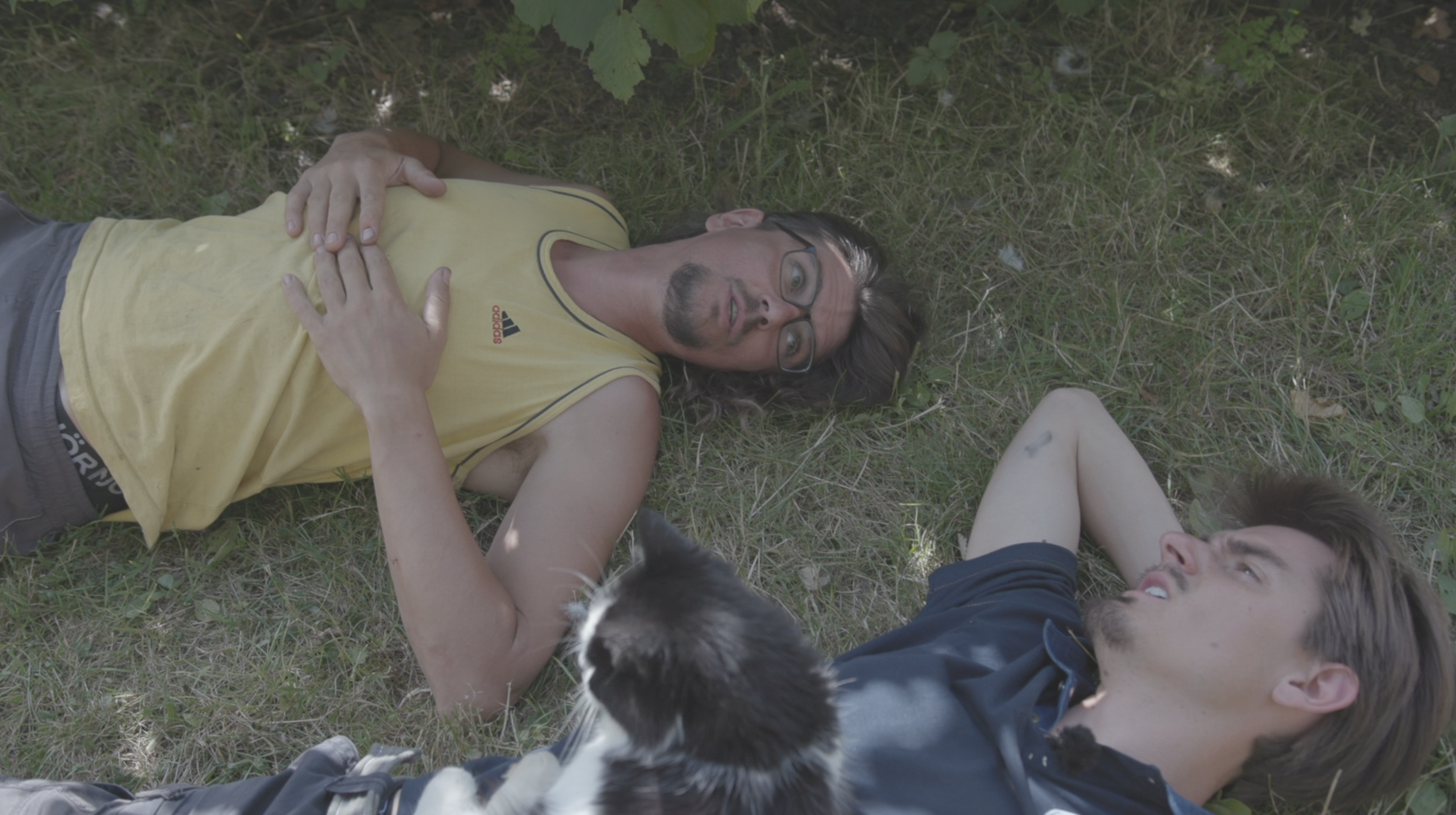 Waarom bestaat “voedselbos” nog niet in België?