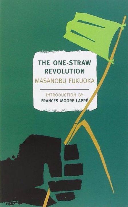The one straw revolution – food forest institute – foodforest – voedselbos – permacultuur – agroforestry The one straw revolution - food forest institute - foodforest - voedselbos - permacultuur - agroforestry