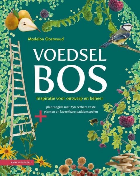 Voedselbos inspiratie voor ontwerp en beheer – food forest – voedselbos – agroforestry – peracultuur Voedselbos inspiratie voor ontwerp en beheer - food forest - voedselbos - agroforestry - peracultuur